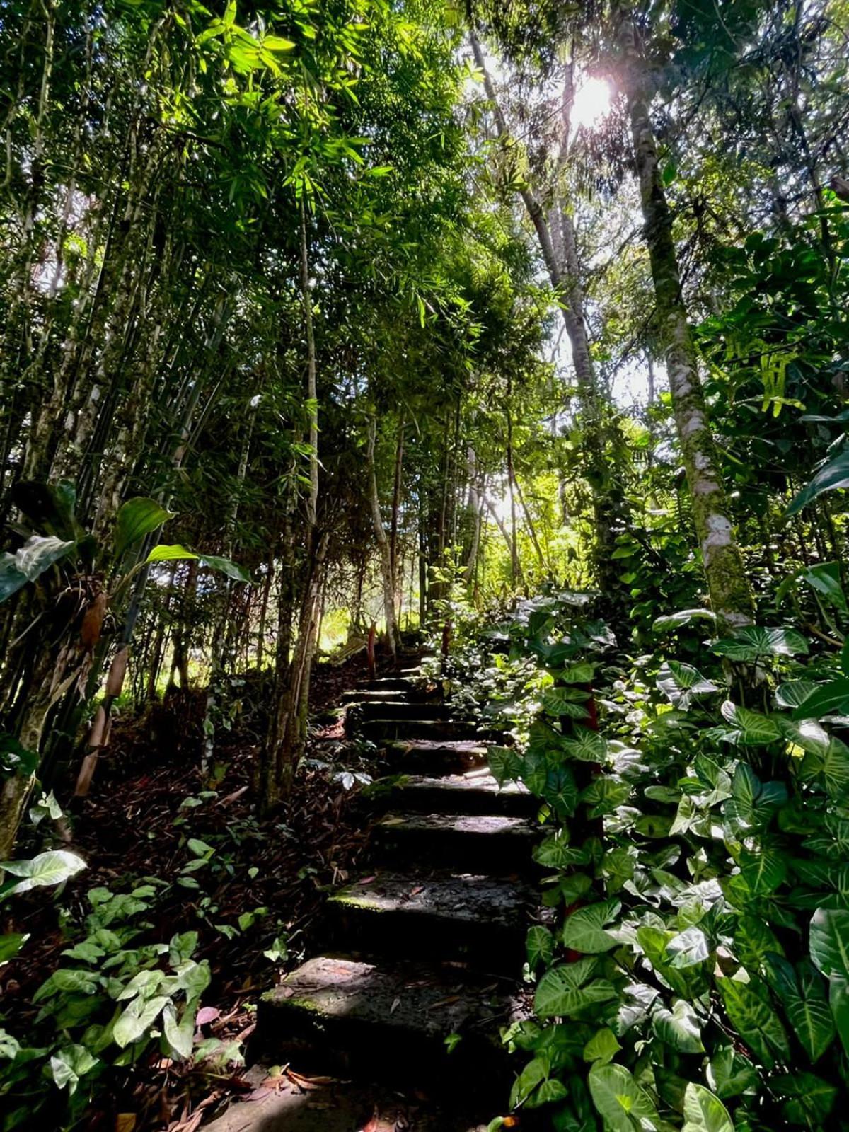 Refugio De Orquideas Villa Oxapampa Dış mekan fotoğraf