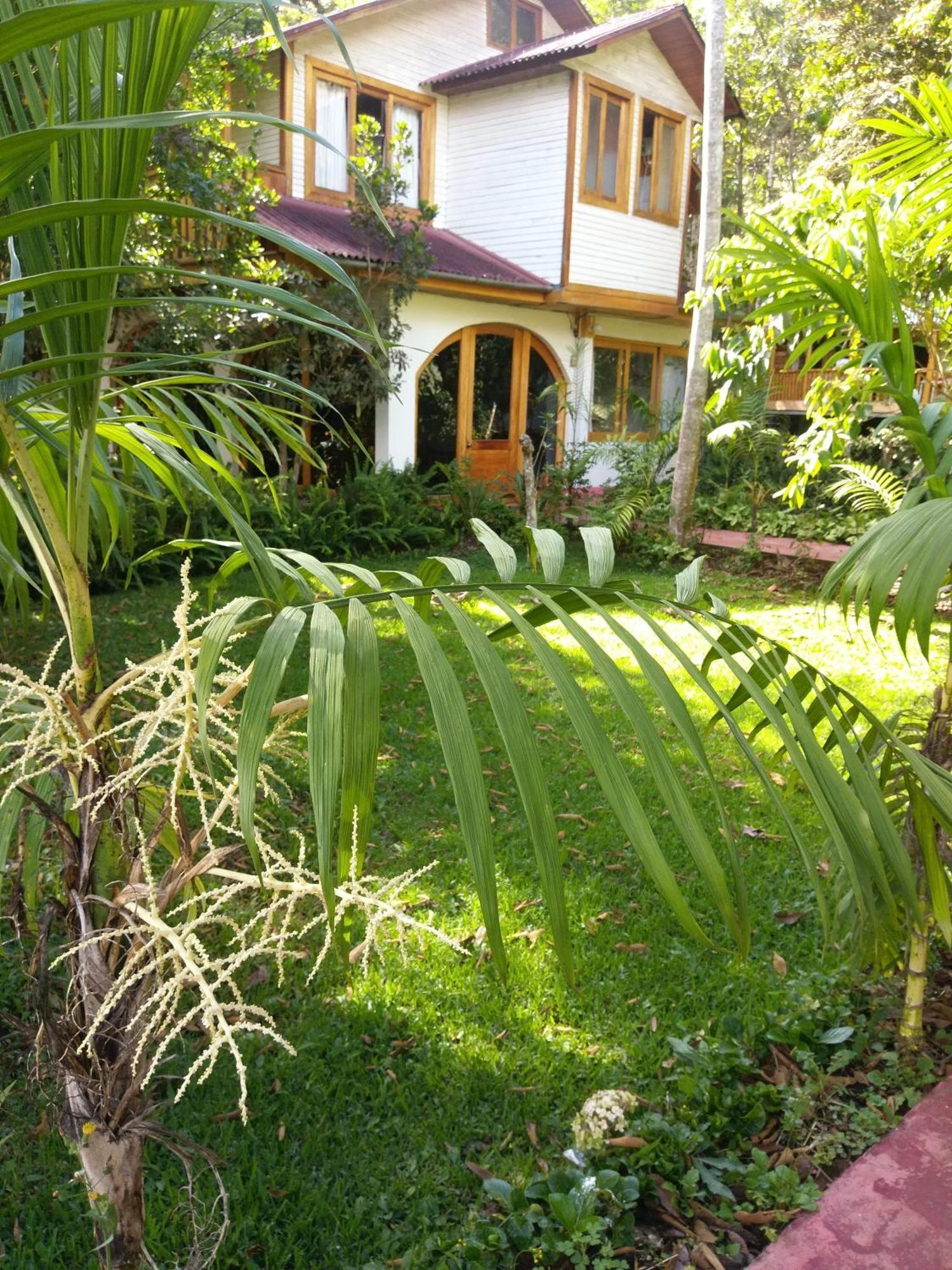 Refugio De Orquideas Villa Oxapampa Dış mekan fotoğraf