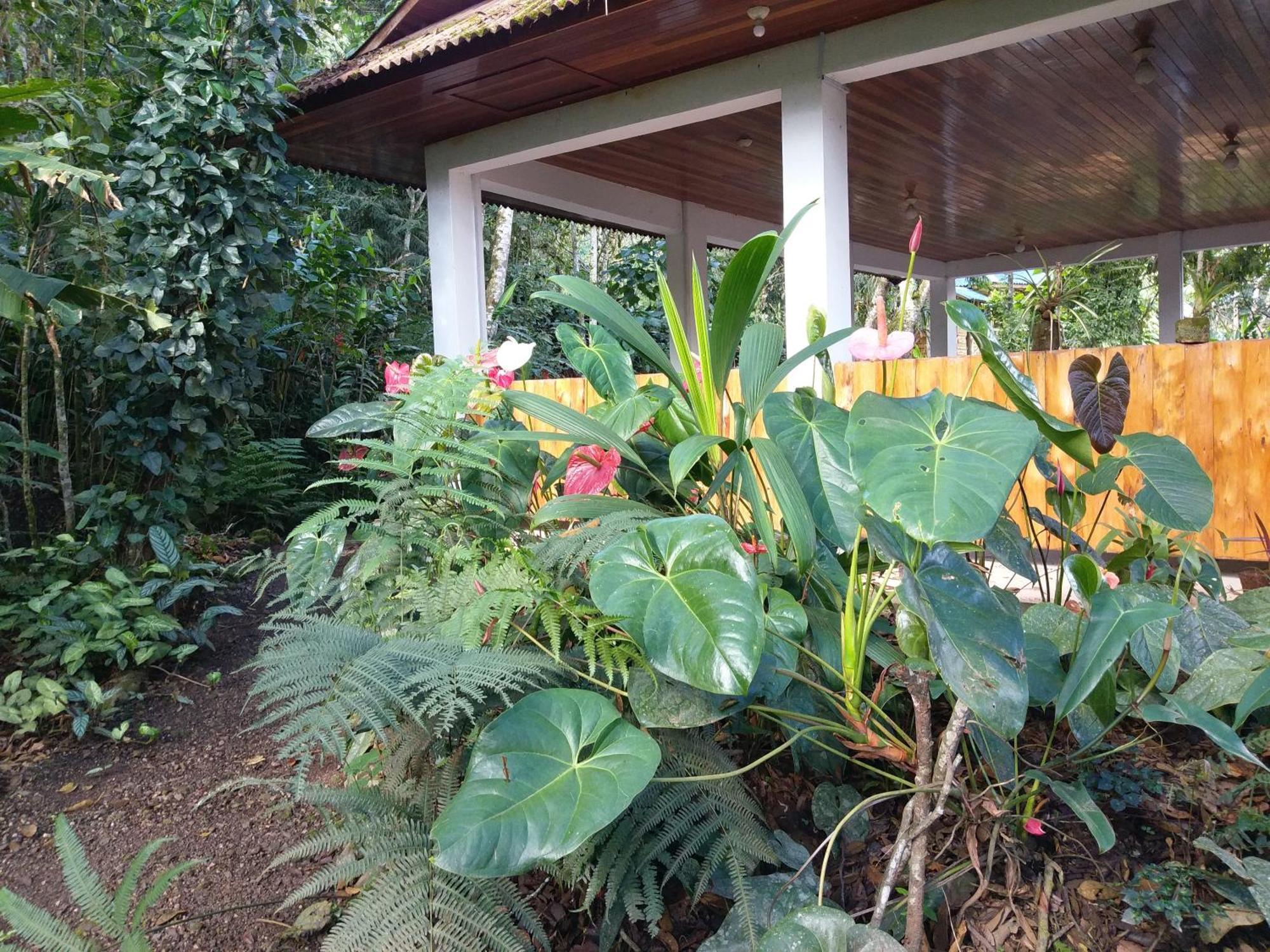 Refugio De Orquideas Villa Oxapampa Dış mekan fotoğraf