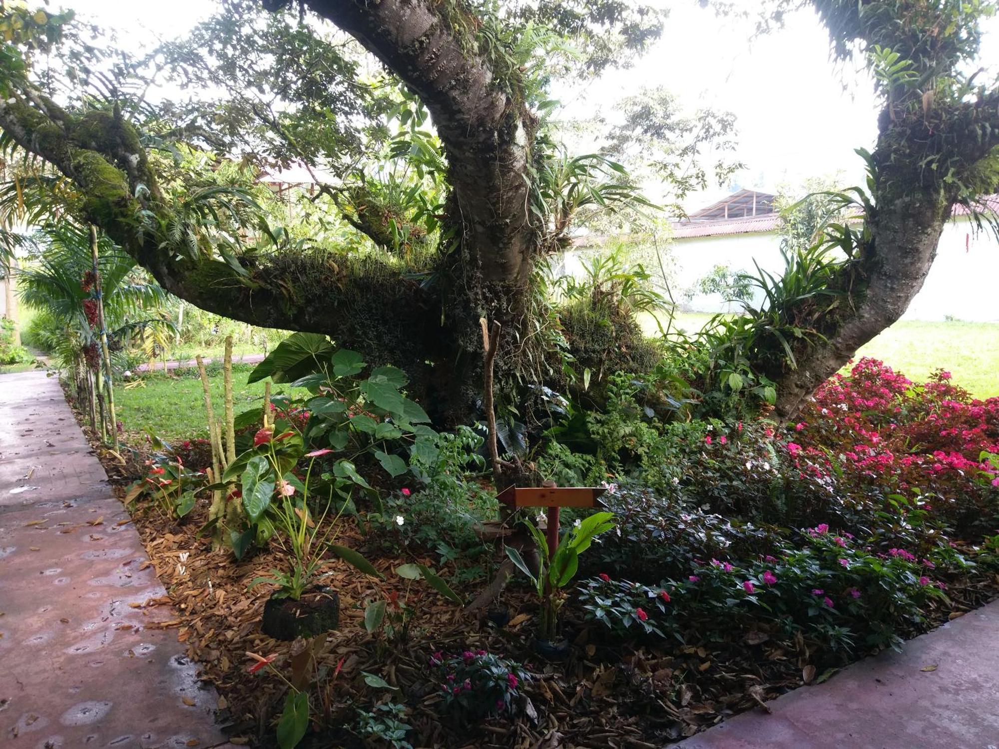 Refugio De Orquideas Villa Oxapampa Dış mekan fotoğraf