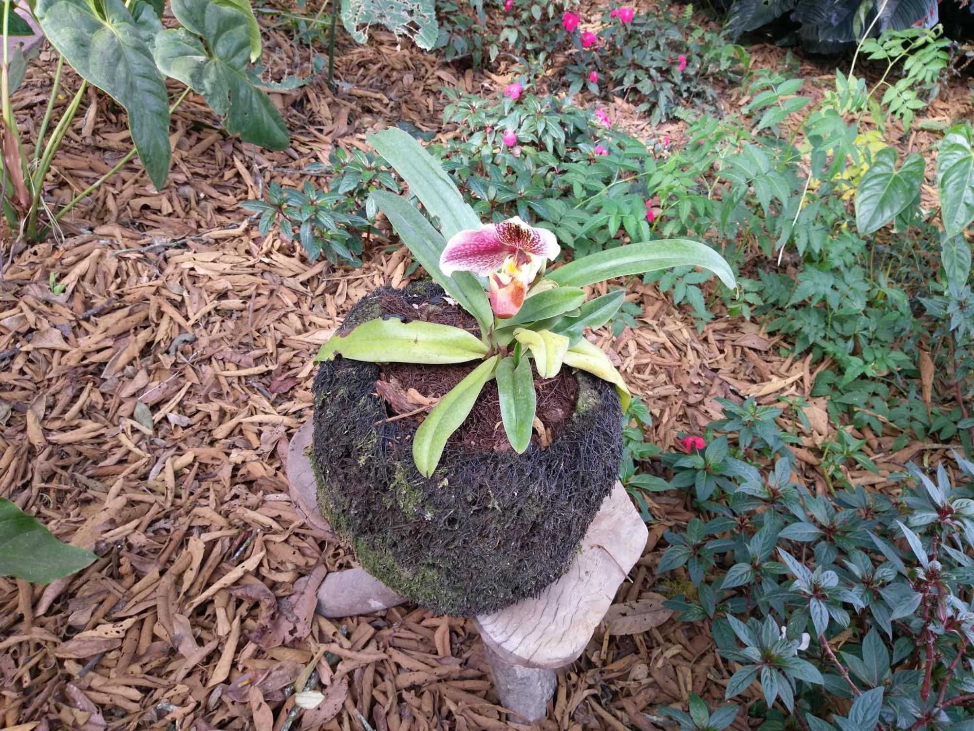 Refugio De Orquideas Villa Oxapampa Dış mekan fotoğraf