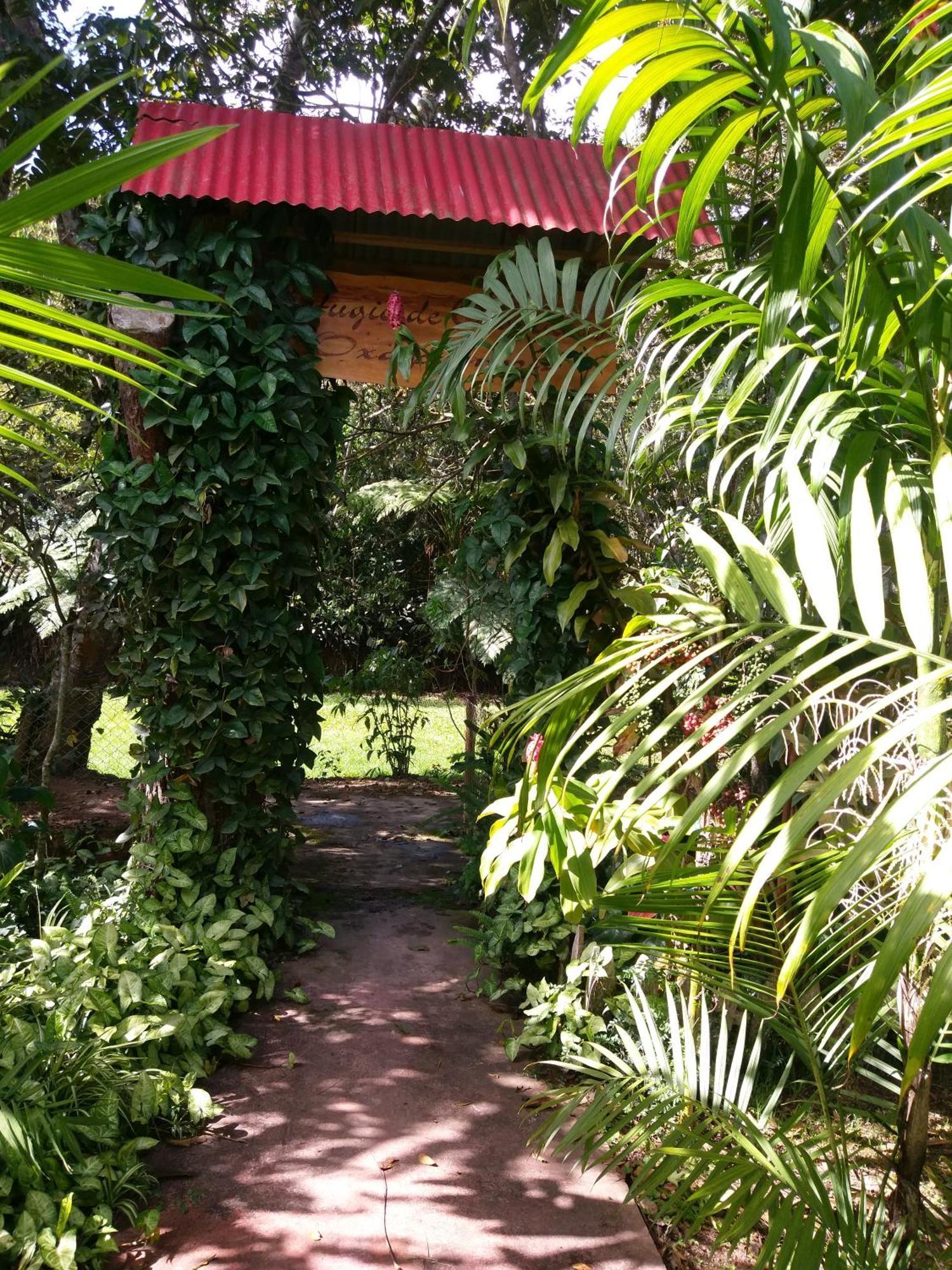 Refugio De Orquideas Villa Oxapampa Dış mekan fotoğraf