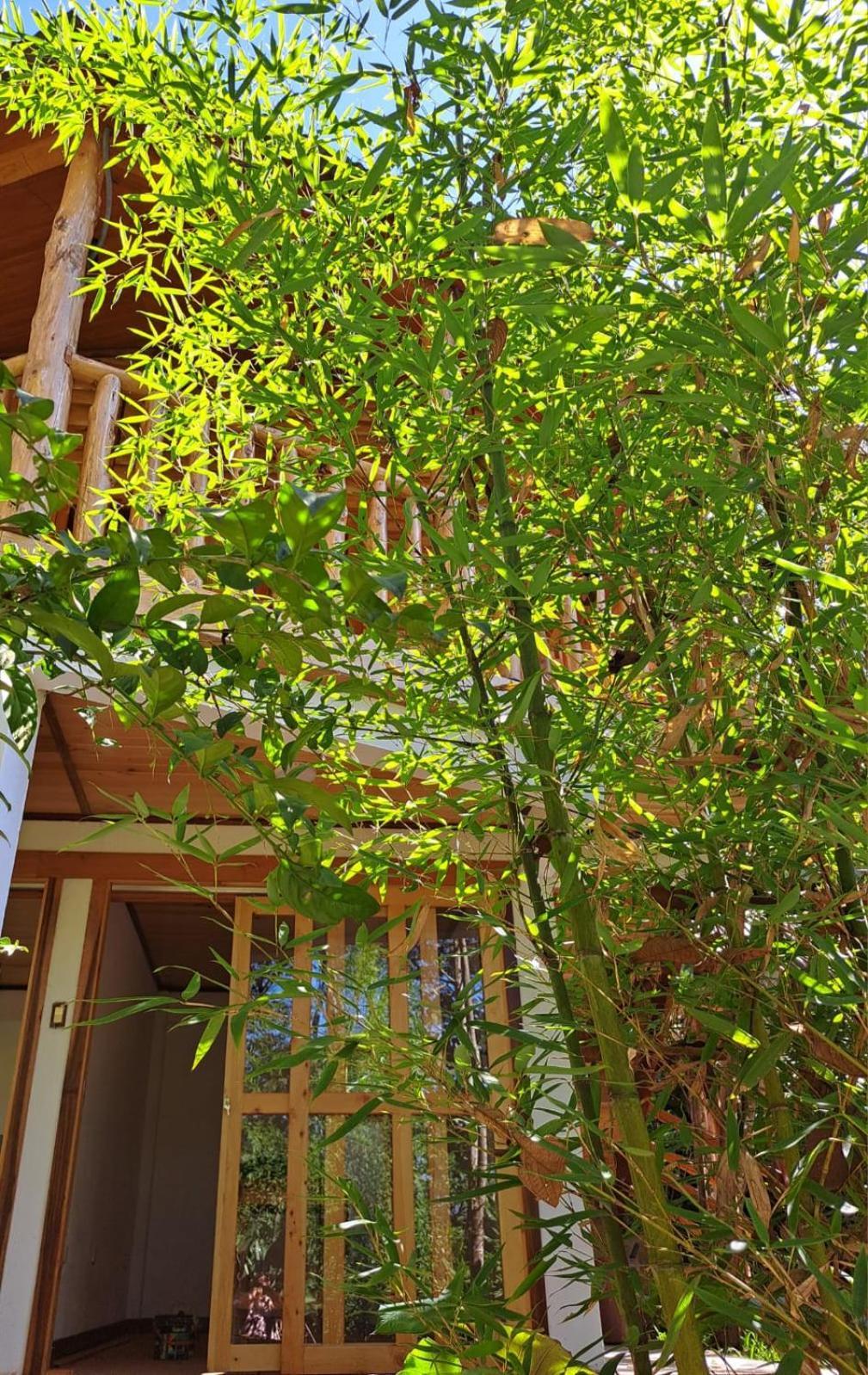 Refugio De Orquideas Villa Oxapampa Dış mekan fotoğraf