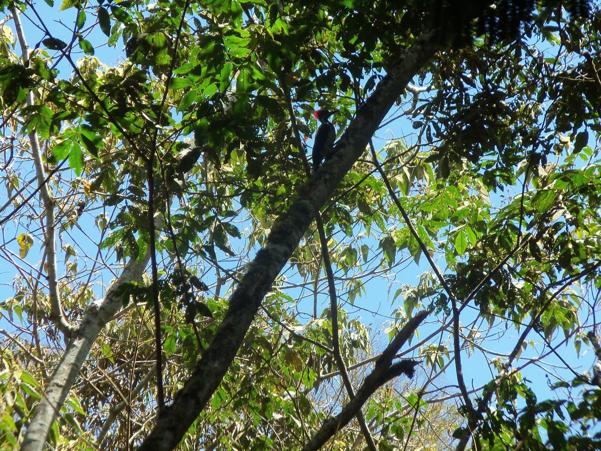 Refugio De Orquideas Villa Oxapampa Dış mekan fotoğraf
