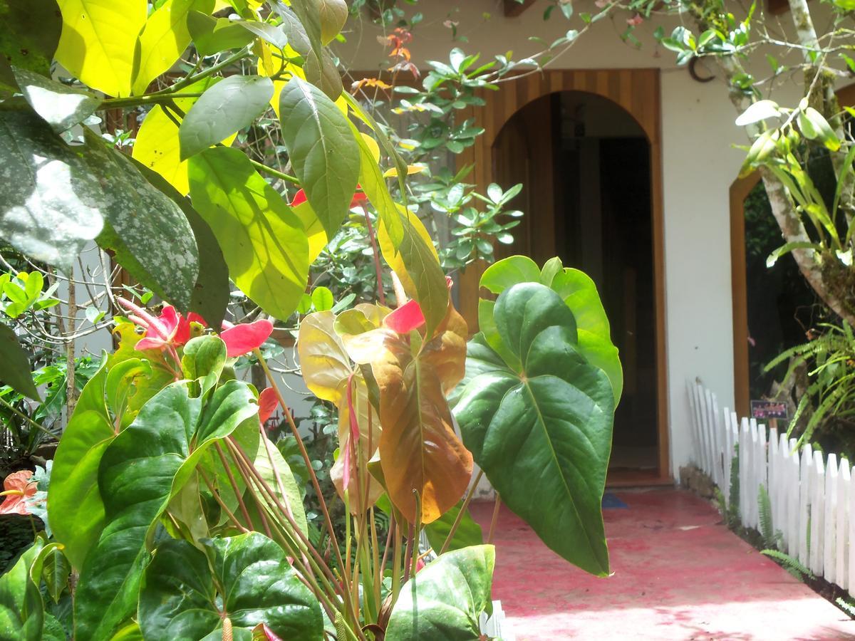 Refugio De Orquideas Villa Oxapampa Dış mekan fotoğraf