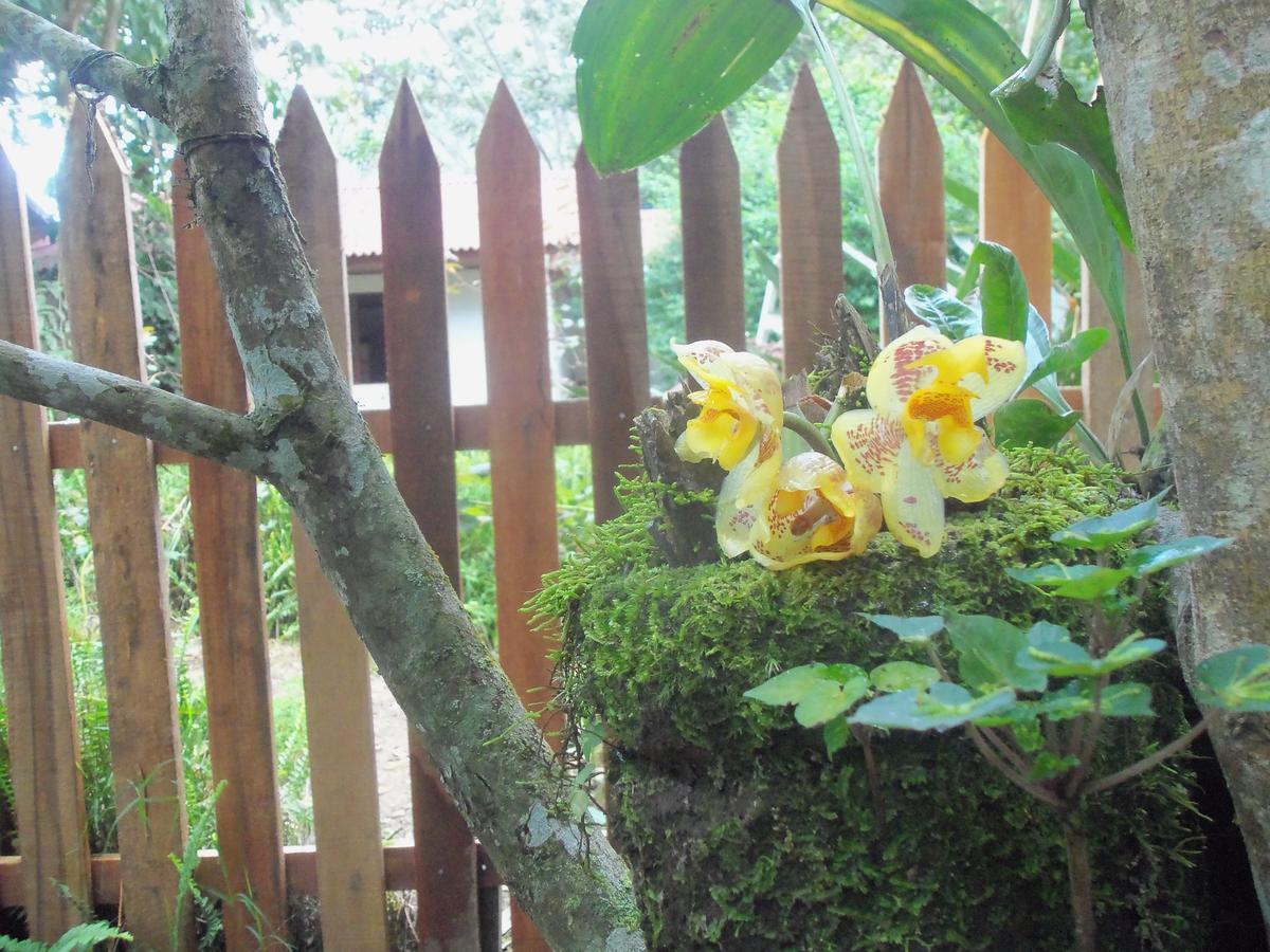 Refugio De Orquideas Villa Oxapampa Dış mekan fotoğraf